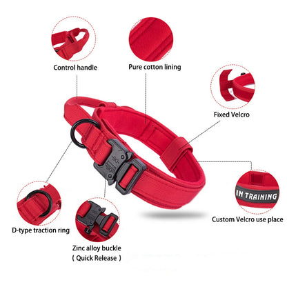 Pet Tactical Training Collar/Leash Set