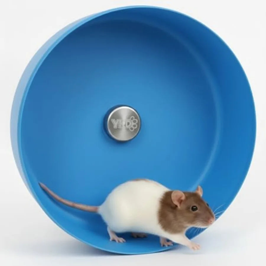 Noiseless Running Wheel for Fancy Rat, Syrian Hamsters, Hedgehogs and Small Pet