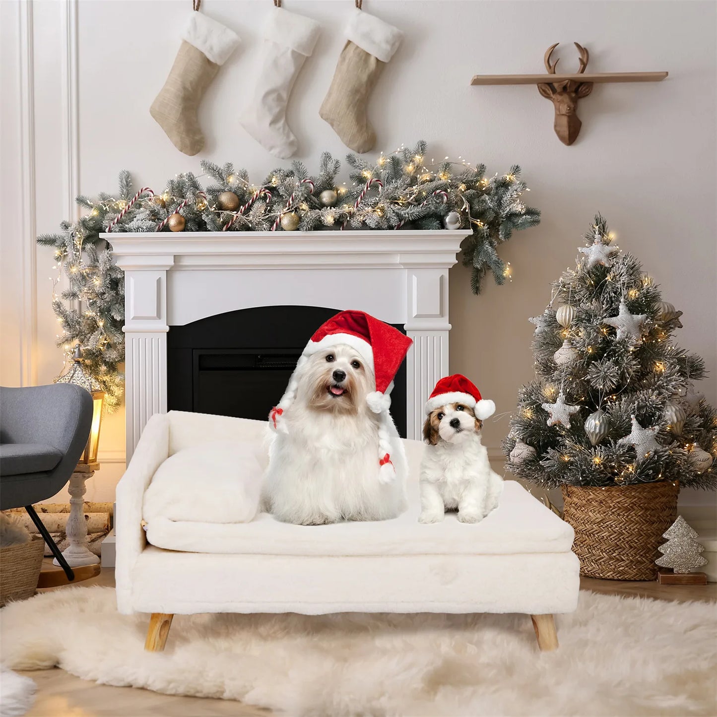 Won't your cat or dog look adorable on this small pet sofa bed?