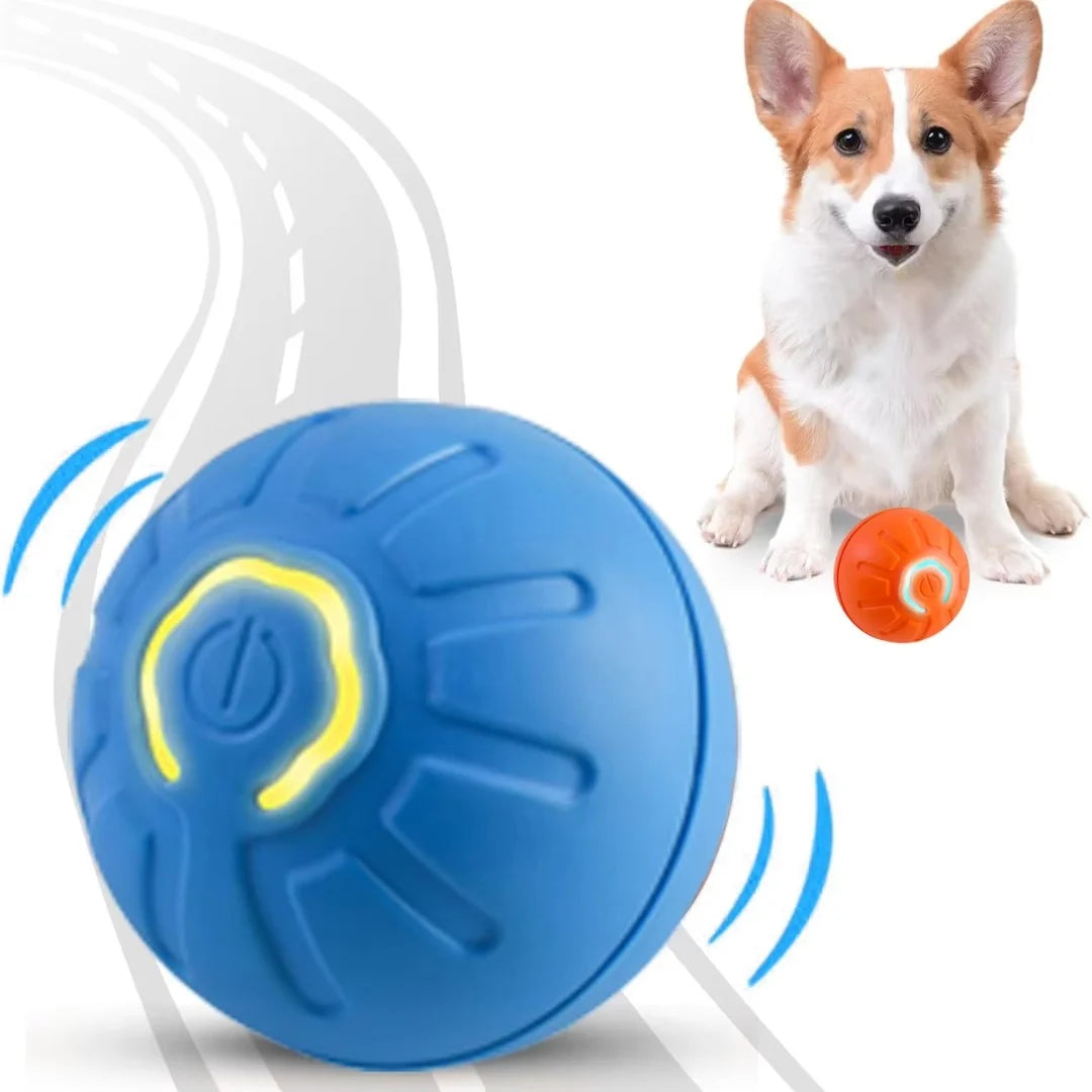 Electric And Gravity Ball For Dogs and Cats
