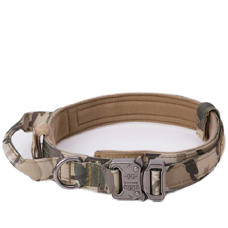 Pet Tactical Training Collar/Leash Set
