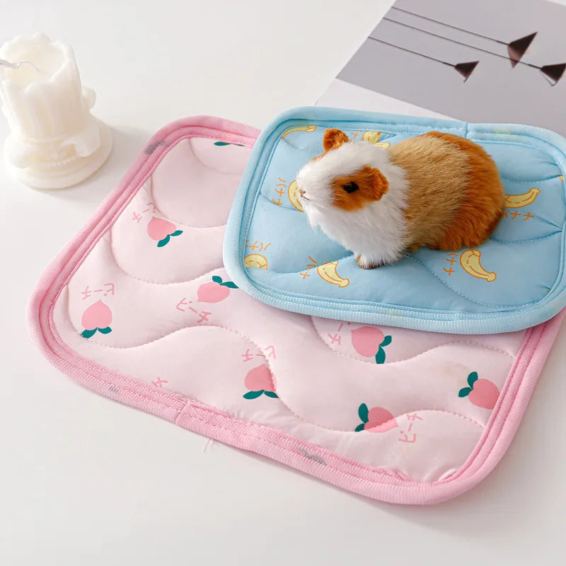 Small Pet Cooler Mat Summer