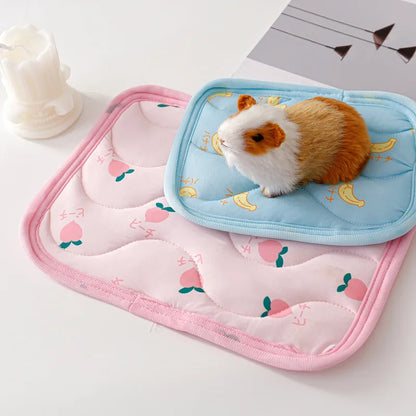 Small Pet Cooler Mat Summer
