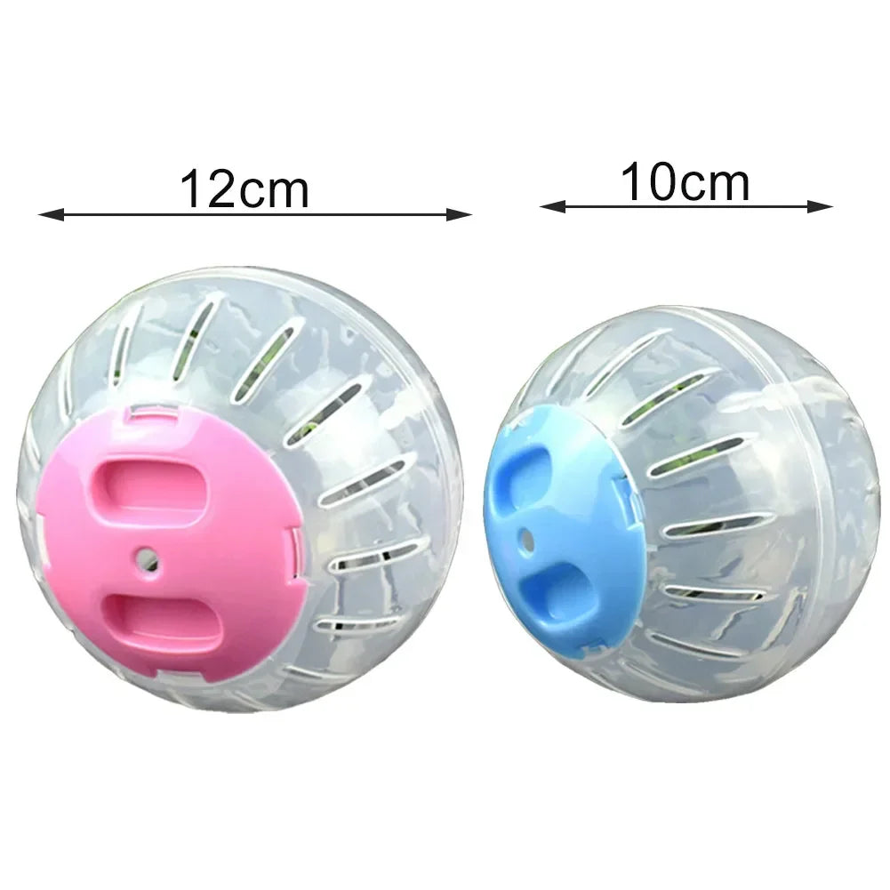 Clear plastic ball for small Pets
