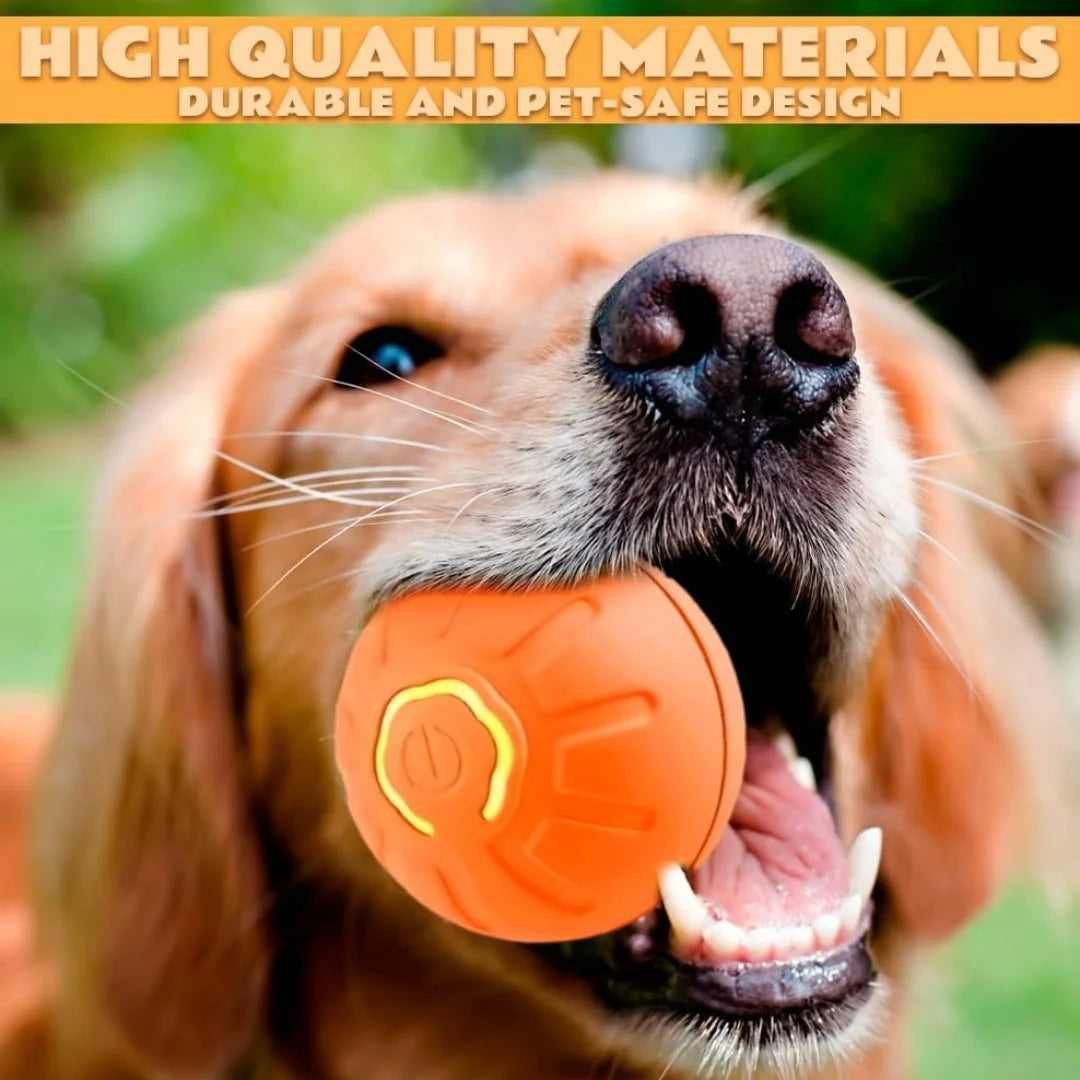 Electric And Gravity Ball For Dogs and Cats