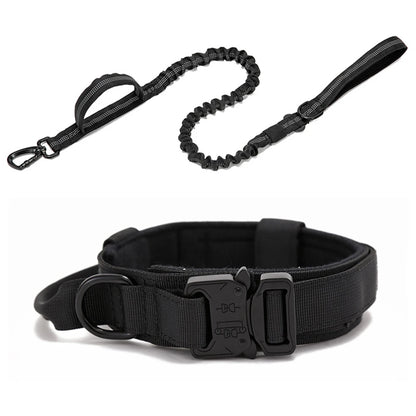 Pet Tactical Training Collar/Leash Set
