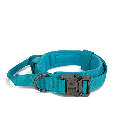 Pet Tactical Training Collar/Leash Set