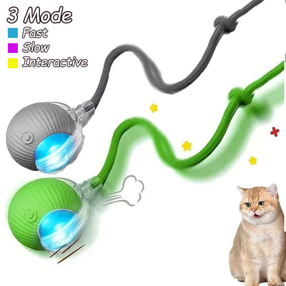 Interactive Automatic  Rolling Ball