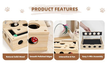 Cat Enrichment Box
