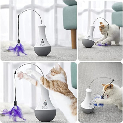 No matter if you call it 'Interactive Cat Toy', 'Funny Feather Kitten Teaser,' or 'Indoor Automatic Feather  Cat Toy'...one word says  it all...FUN!