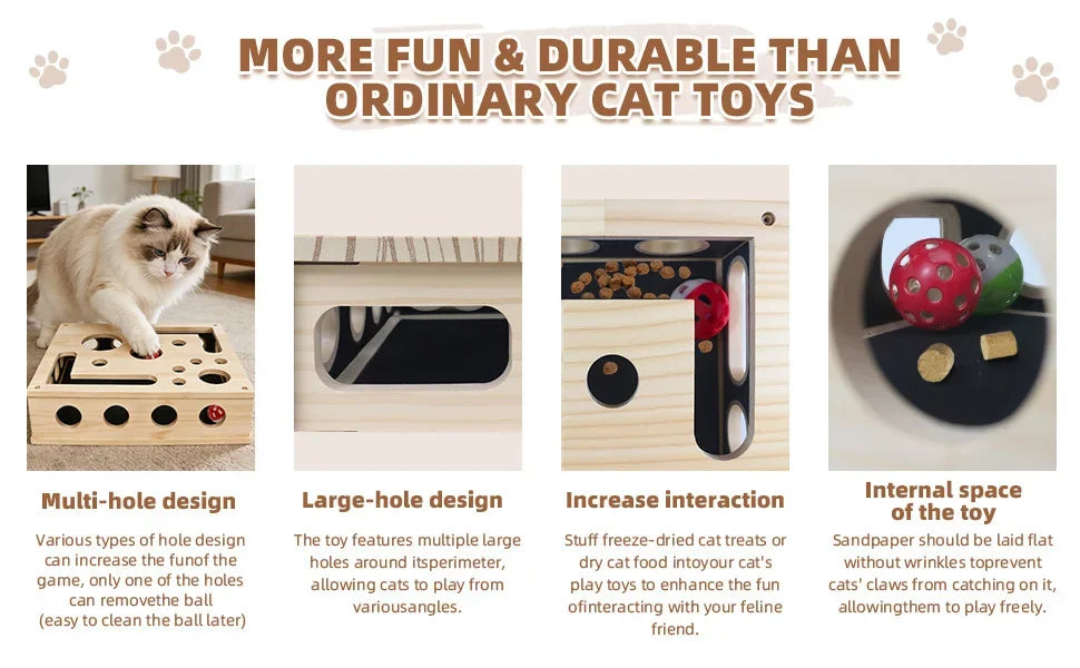 Cat Enrichment Box
