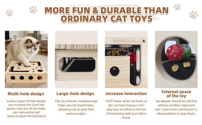 Cat Enrichment Box