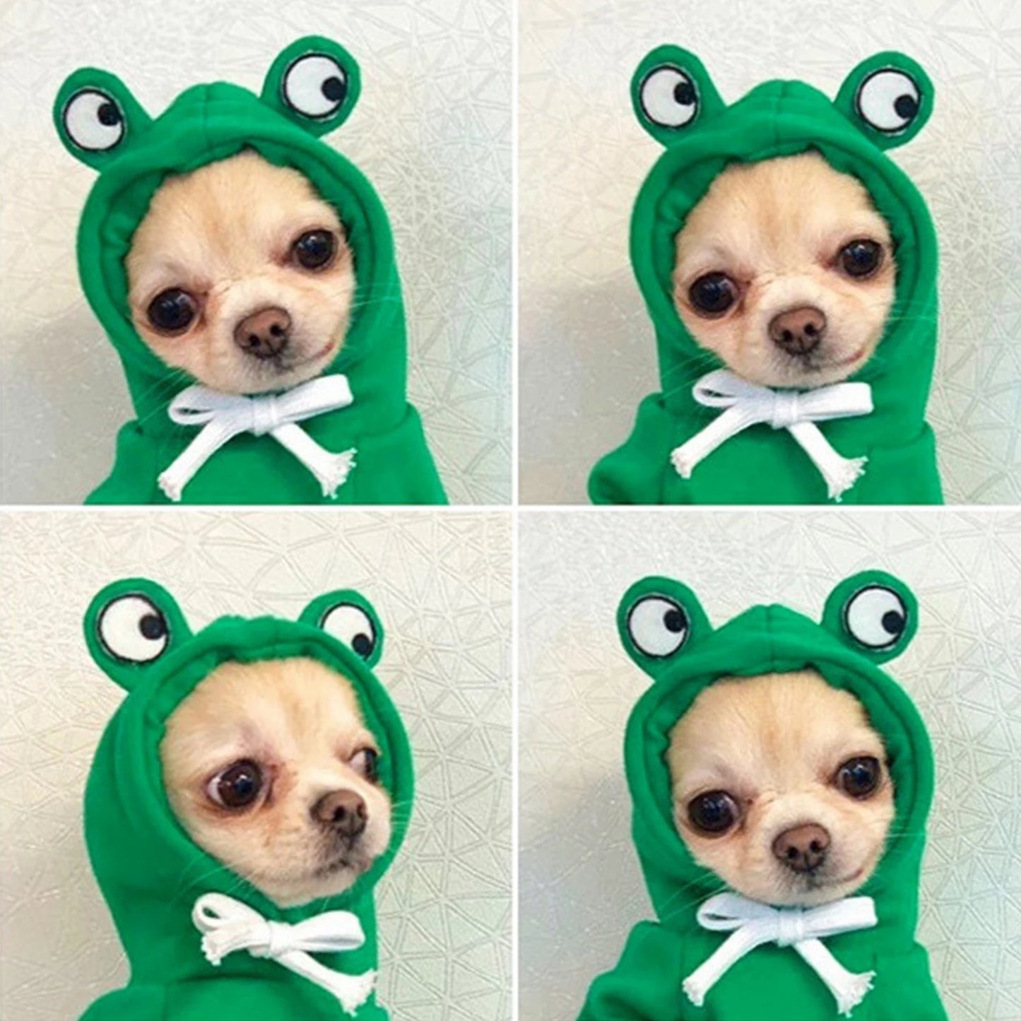 Hoodie Dog Sweater Coat