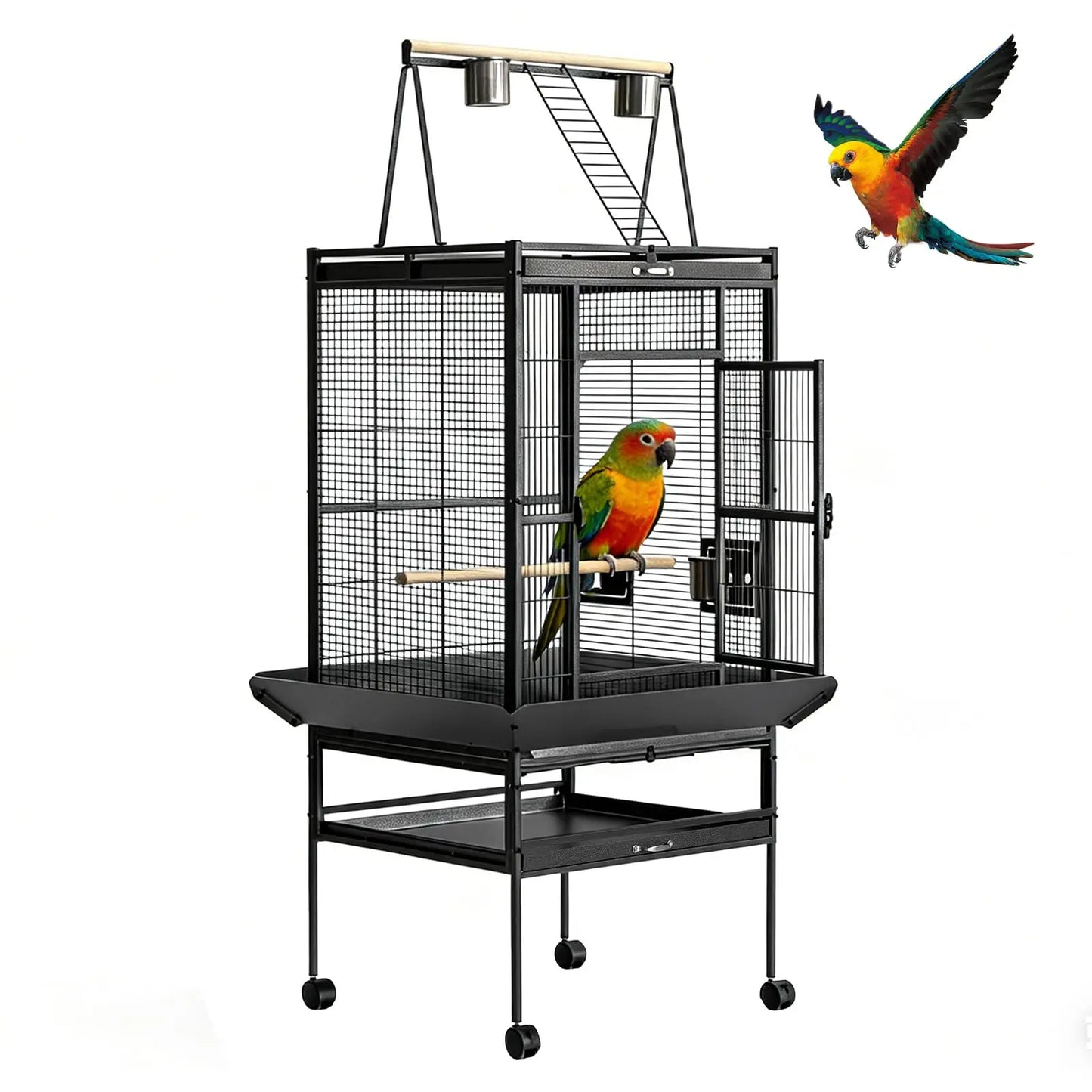 What a lovely spacious birdcage!   With a height of 69 inches your  beautiful bird has plenty of room!