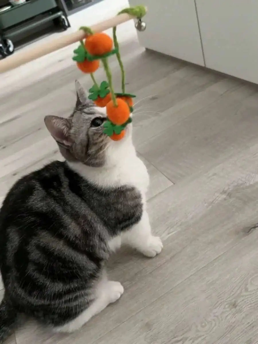 Your cat and you will surely enjoy interactive play with these colorful plush cat teaser wands with bells.  Check it out...which one of you gets more excited...you or the cat?