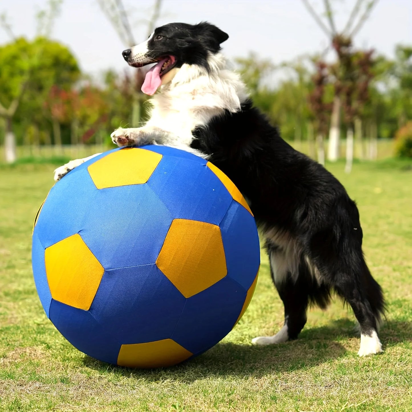 Animal Training/Herding/Playing Balls