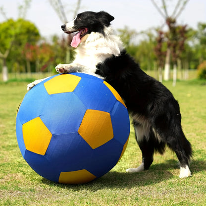 Animal Training/Herding/Playing Balls