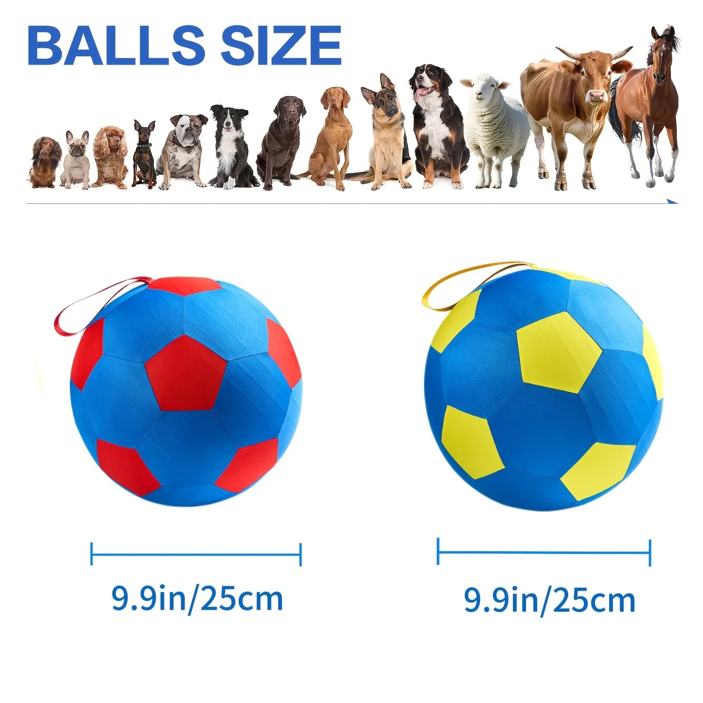 Animal Training/Herding/Playing Balls
