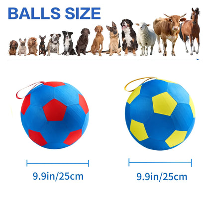 Animal Training/Herding/Playing Balls