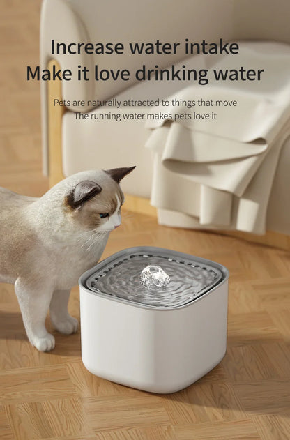 3L Electric Filtering Water Fountain for Pets