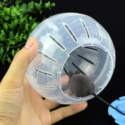 Clear plastic ball for small Pets