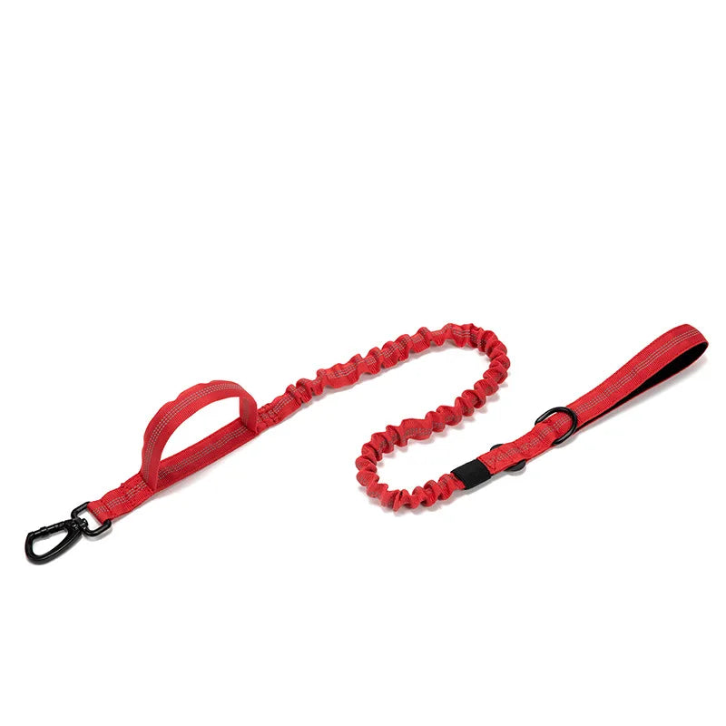 Pet Tactical Training Collar/Leash Set