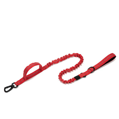 Pet Tactical Training Collar/Leash Set