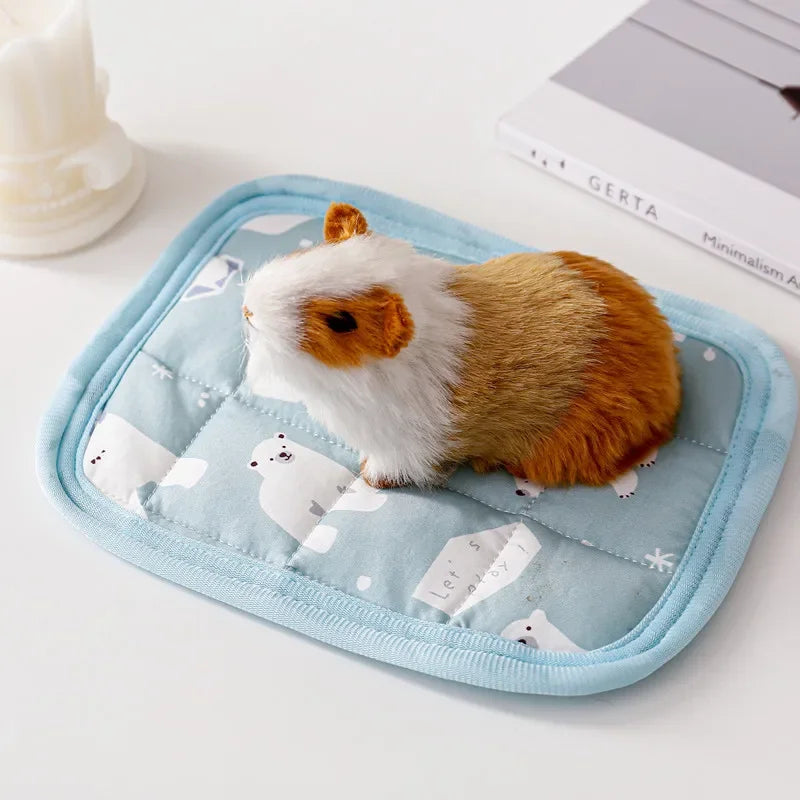 Small Pet Cooler Mat Summer