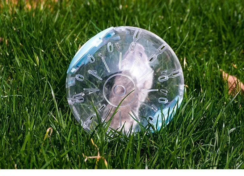 Clear plastic ball for small Pets