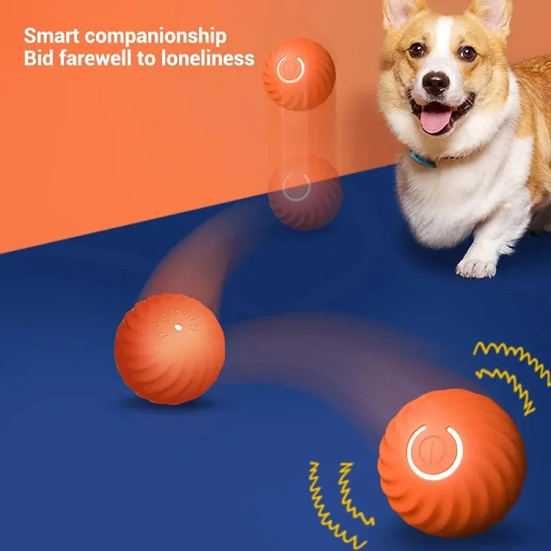 Dog Ball With Automatic Movements