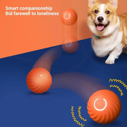 Dog Ball With Automatic Movements