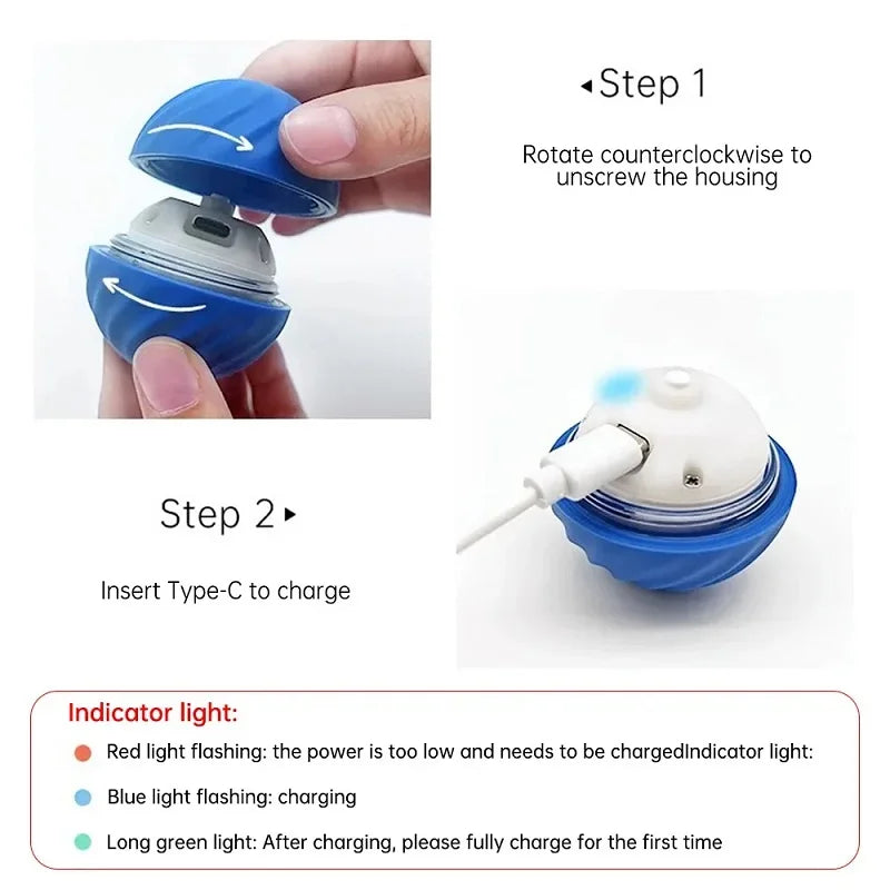 Dog Ball With Automatic Movements
