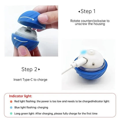 Dog Ball With Automatic Movements