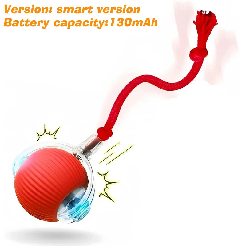 Automatic Rolling Dog Ball