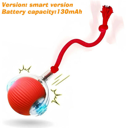 Automatic Rolling Dog Ball