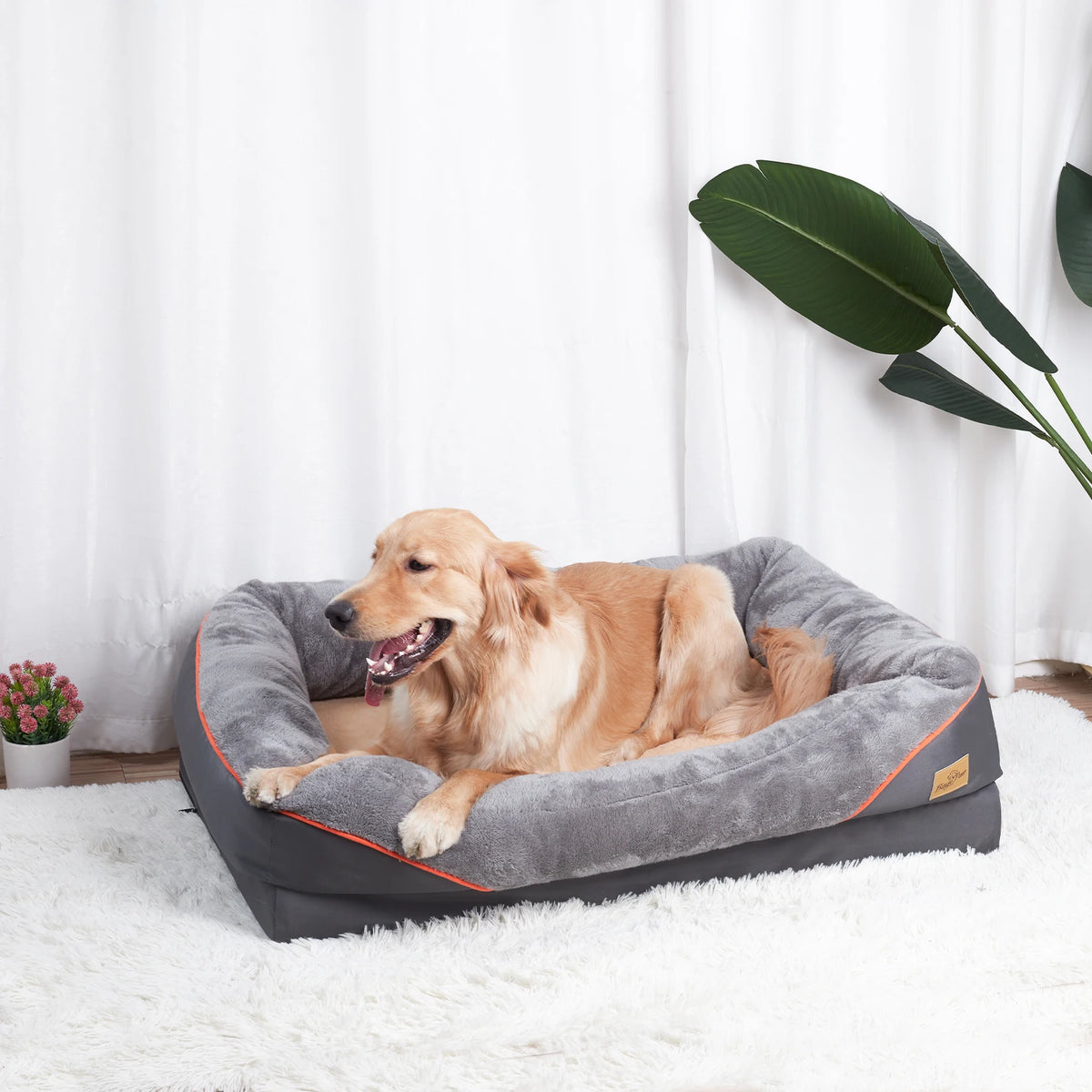 There are those of us with allergies...pets included.  If yours is one of the unfortunate ones with obvious allergies then this anti-allergy pet bed is just the ticket to help relieve those miserable symptoms.  Granny knows..