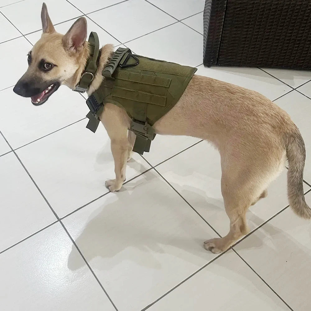 This combination dog harness collar set is adjustable for small, medium, and large dogs.  Designed for training and walking the tactical dog vest does the trick!  For outdoor use only it is made of durable nylon.