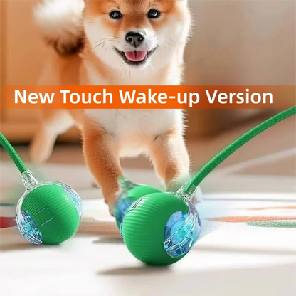 Automatic Rolling Dog Ball