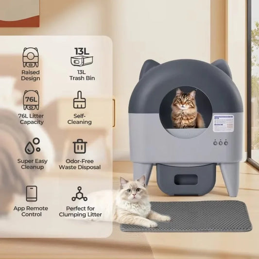 Automatic Litter Box