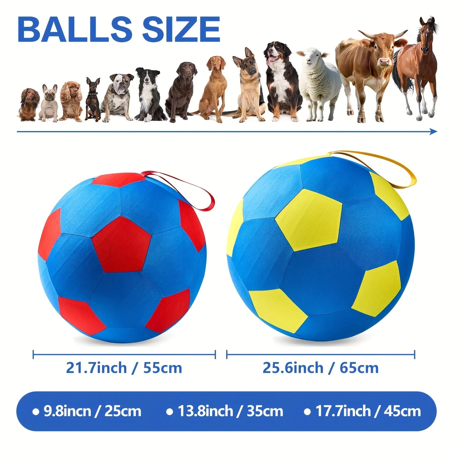 Animal Training/Herding/Playing Balls