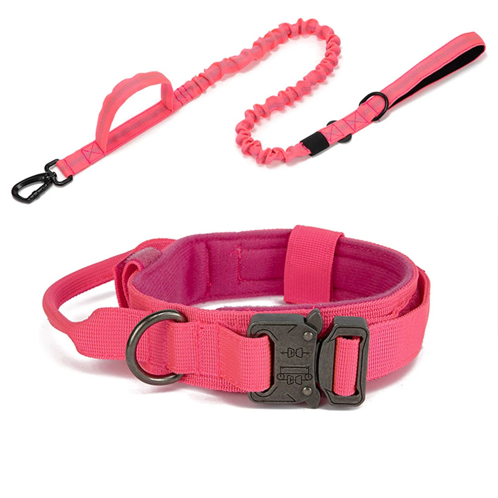 Pet Tactical Training Collar/Leash Set