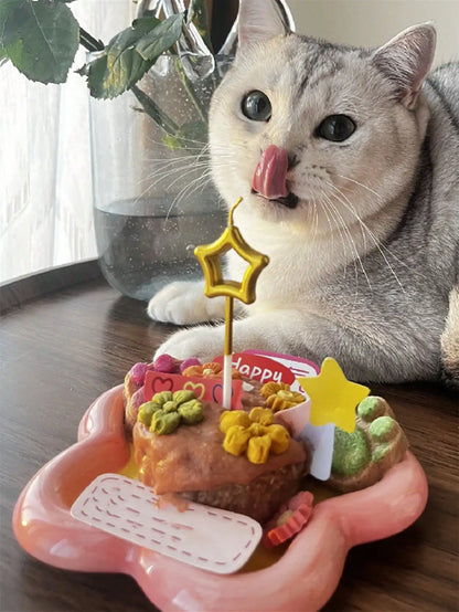 Ceramic Pet Bowl