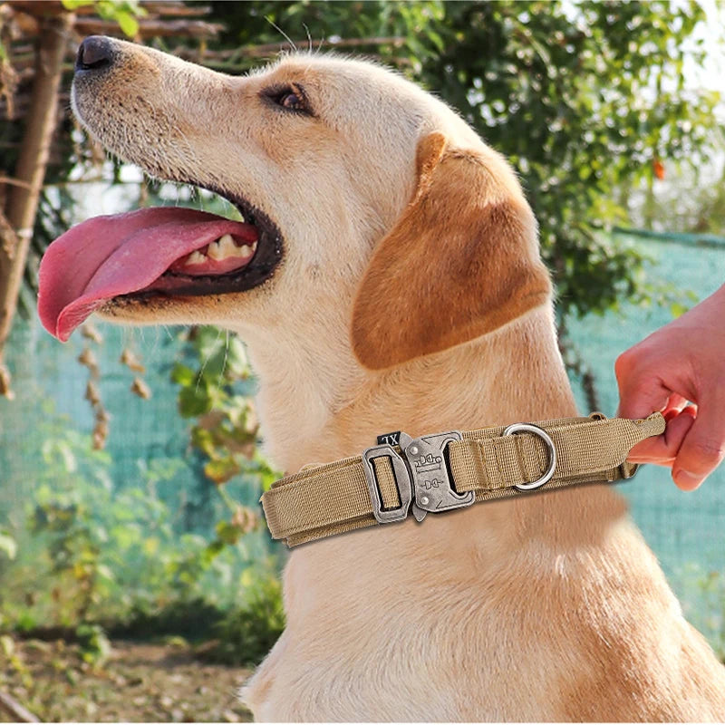 Pet Tactical Training Collar/Leash Set