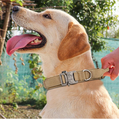 Pet Tactical Training Collar/Leash Set