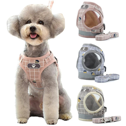 Harness Vest with Leash