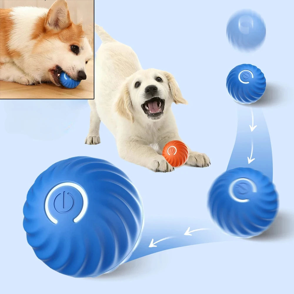 Dog Ball With Automatic Movements