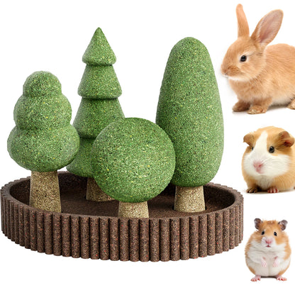 Small Pet Dental Health Toys