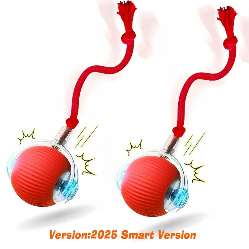 Automatic Rolling Dog Ball