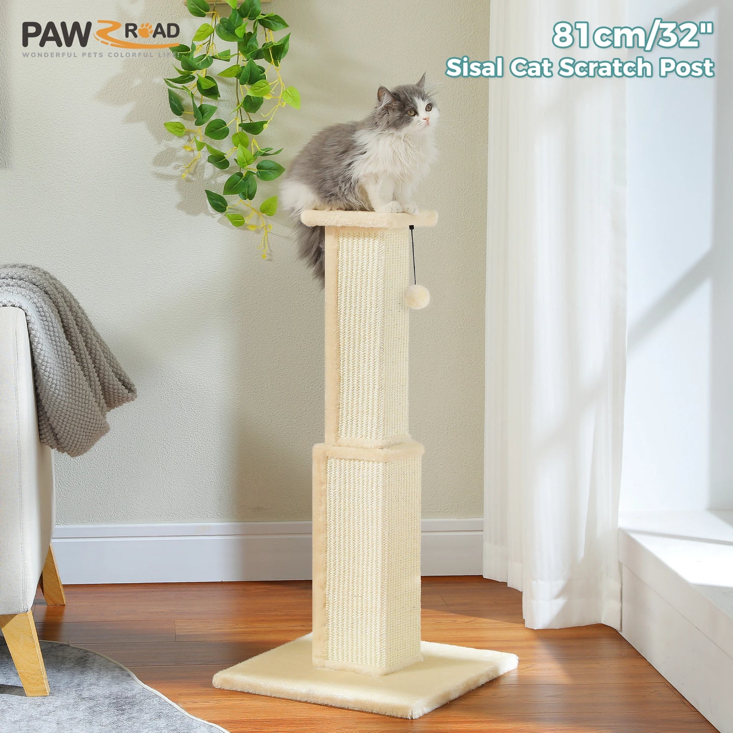 What cat doesn't enjoy a nice go at the Scratching Post?  And every person owned by a cat appreciates the Scratching Post saving the furniture!