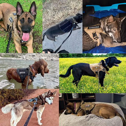 Military training outfit for large dogs includes harness, collar, leash, bags and patches.  Training vest and accessories all included.
